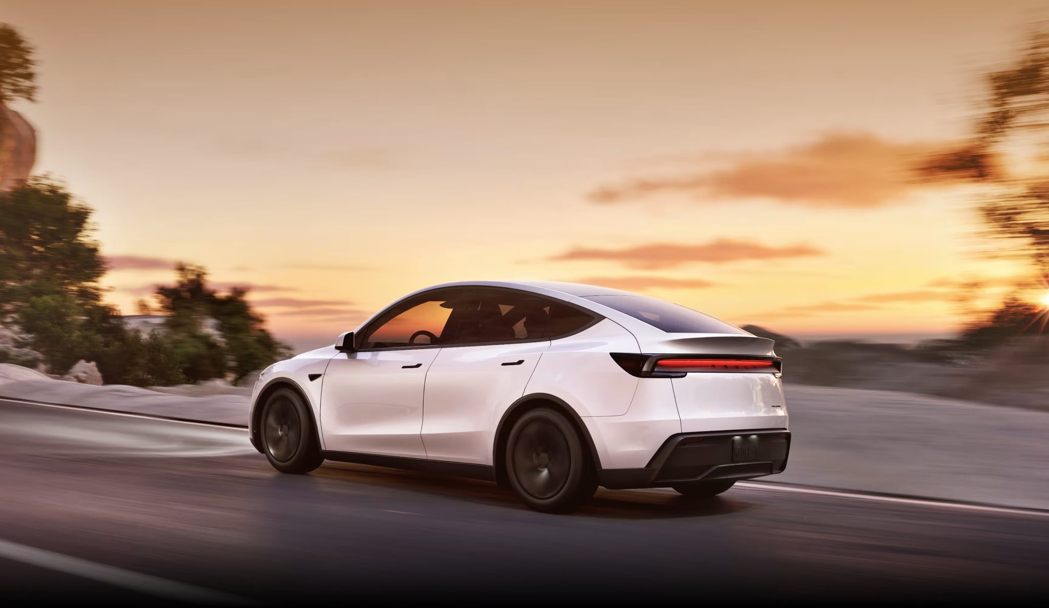 Tesla Model Y Rear-Wheel Drive 