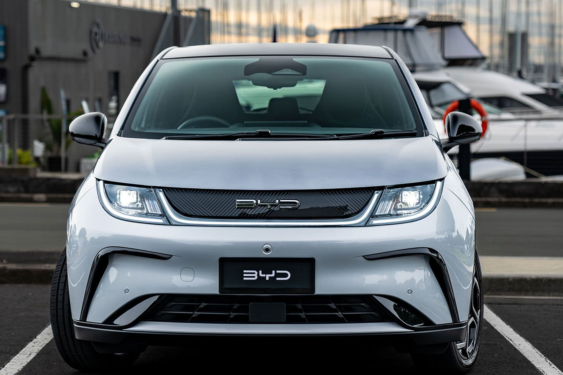 White-grey BYD Dolphin front face White-grey BYD Dolphin front face