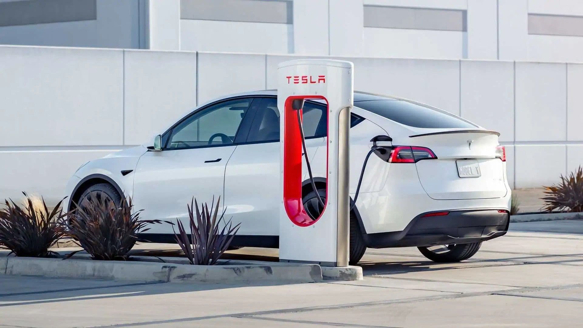 Model Y rapid charging Model Y rapid charging
