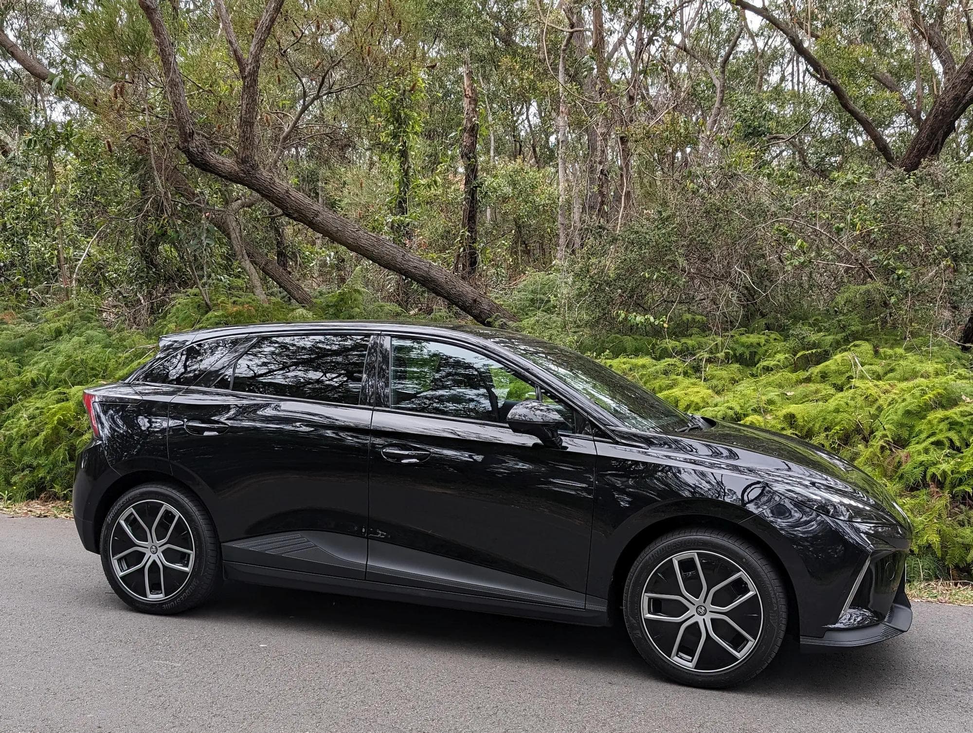 MG4 forest drive MG4 forest drive