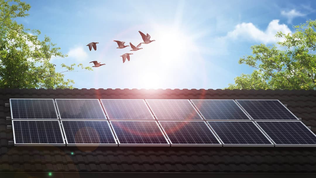 Solar panels on home Solar panels on home