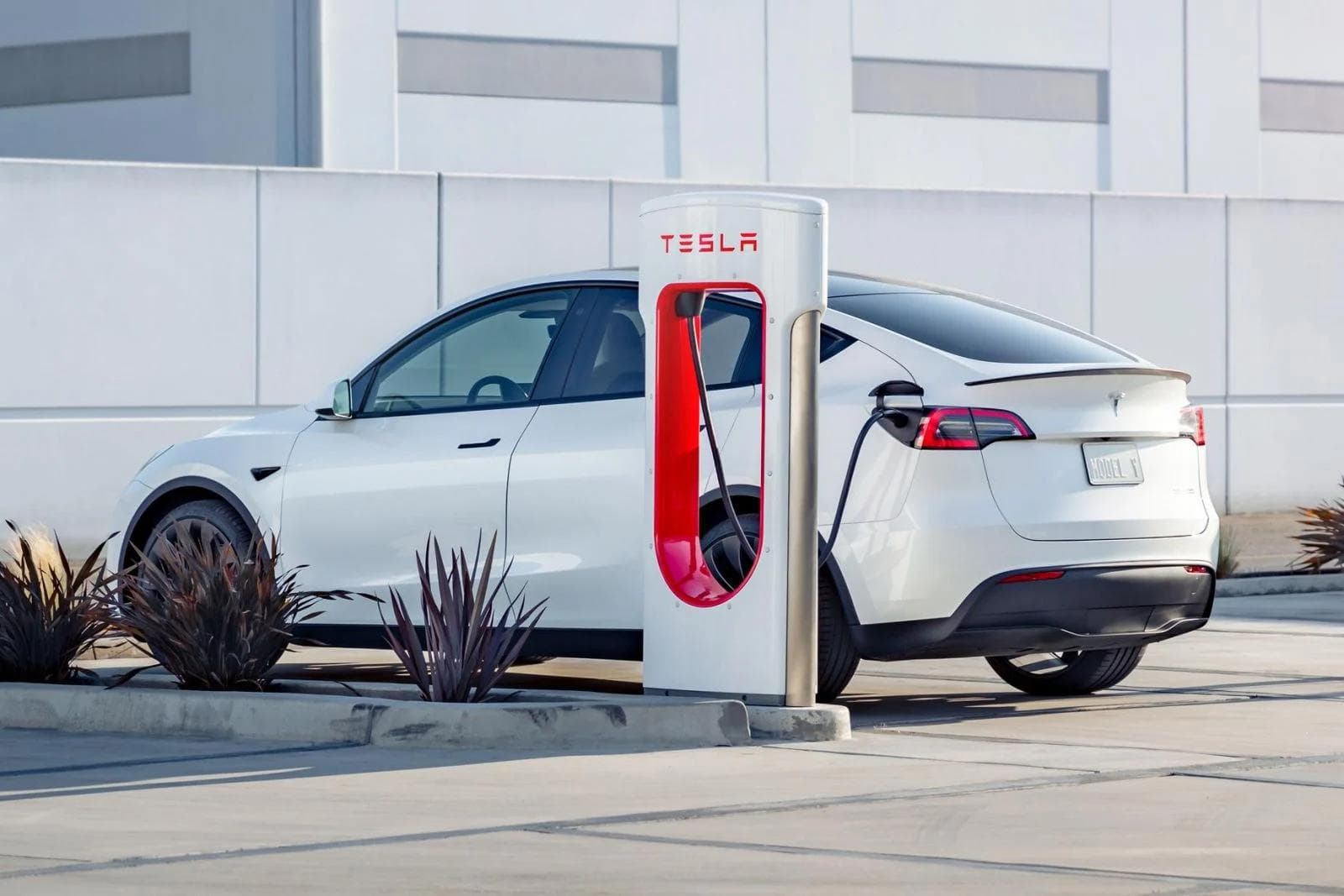 tesla billing overstays superchargers tesla billing overstays superchargers