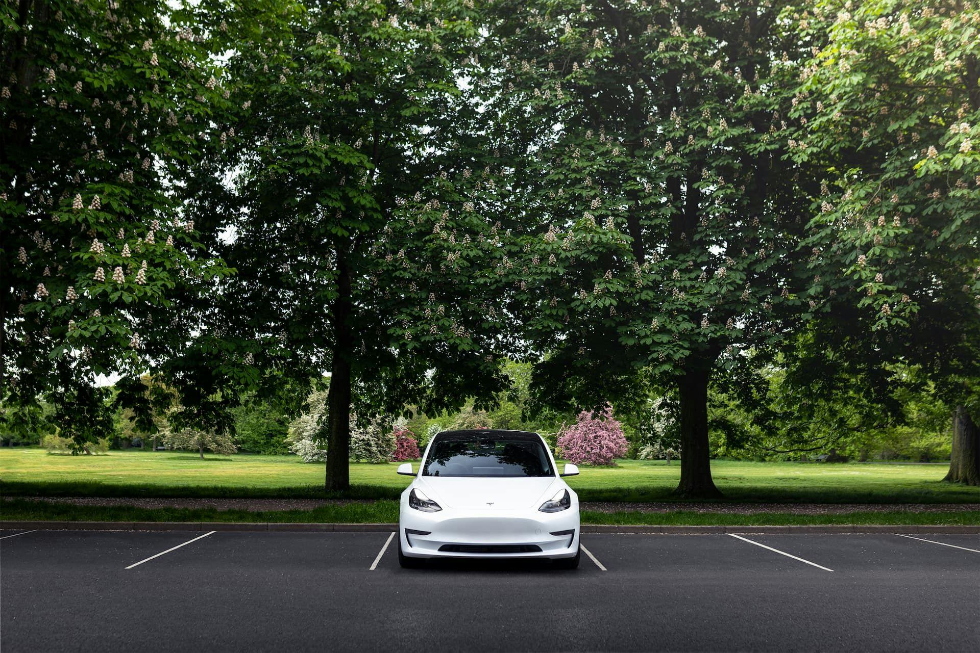 White Tesla Model 3 parked in front of park