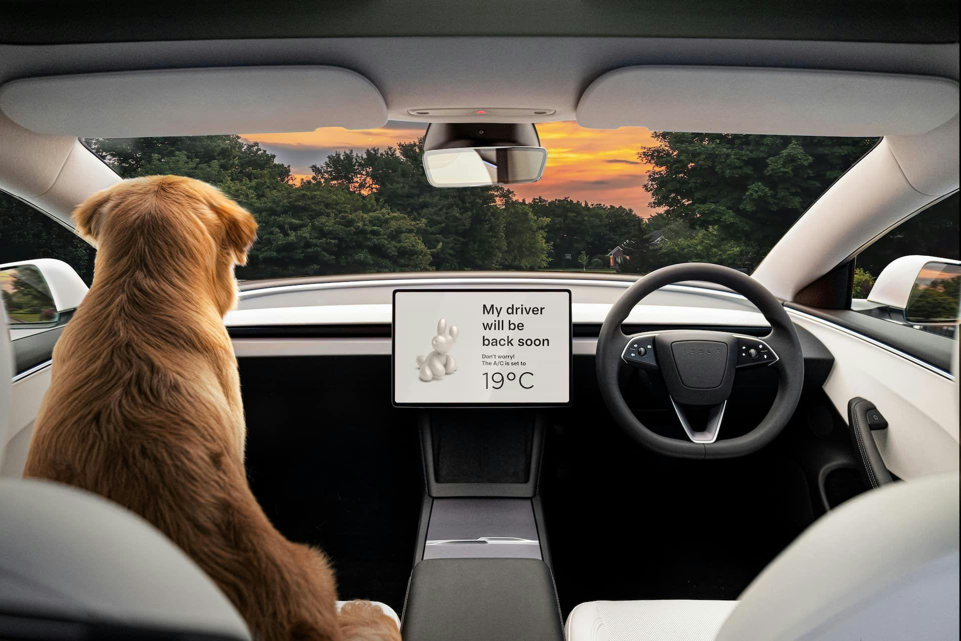 2024 Tesla Model 3 interior screen and dashboard