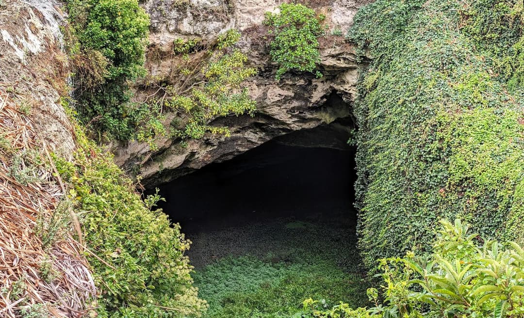 Cave Garden / Thugi Cave Garden / Thugi