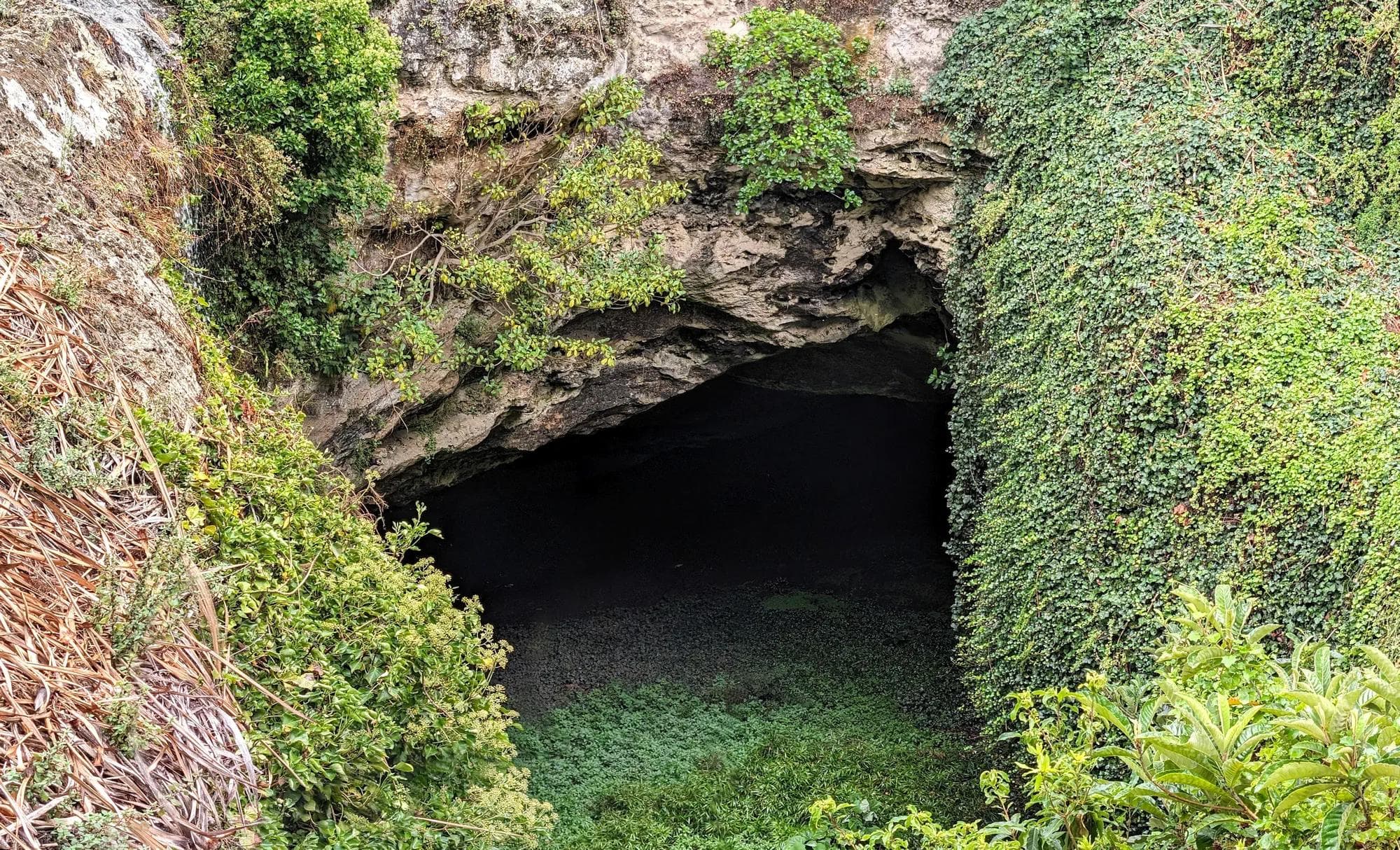 Cave Garden / Thugi Cave Garden / Thugi