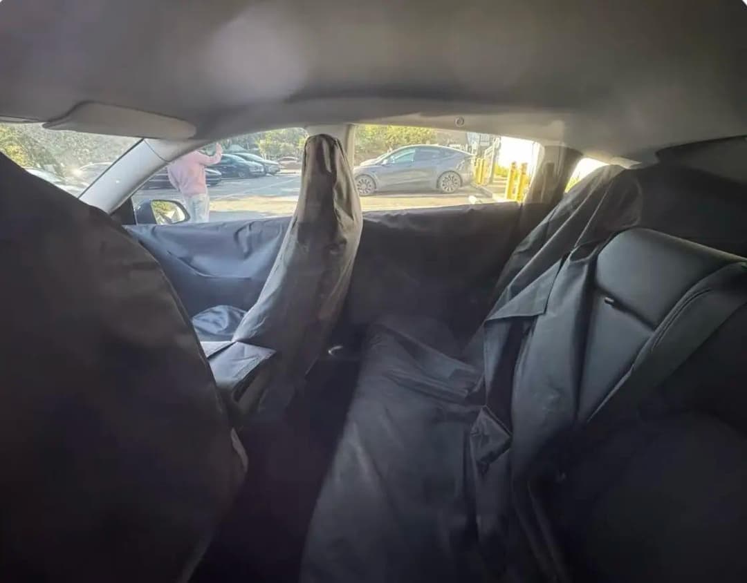 Tesla's Affordable EV Tesla's Affordable EV