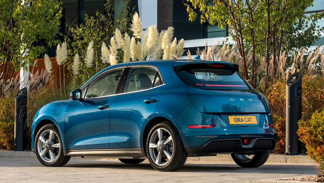 Ora Funky Cat rear Ora Funky Cat rear